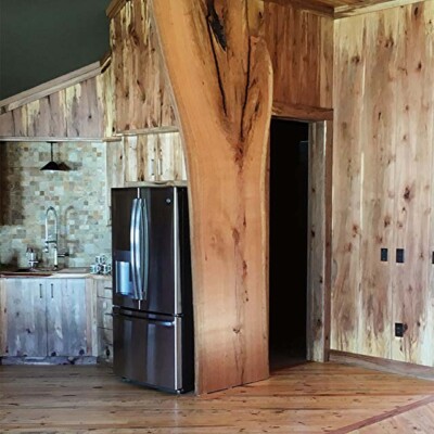 Willow Oak & Sweet Gum